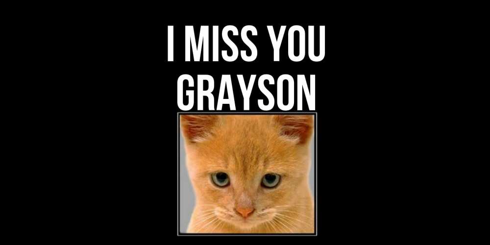 Greetings card с именем, Grayson I miss you открытки рыжий котенок скучает по тебе Greetings with text for free download 
