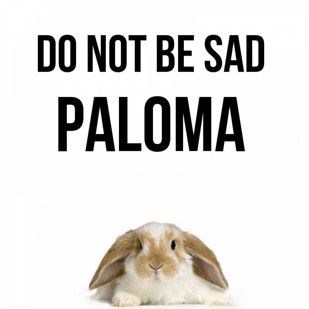 Greetings card с именем, Paloma Do not be sad коричнево белый заяц с большими ушками Greetings with text for free download 