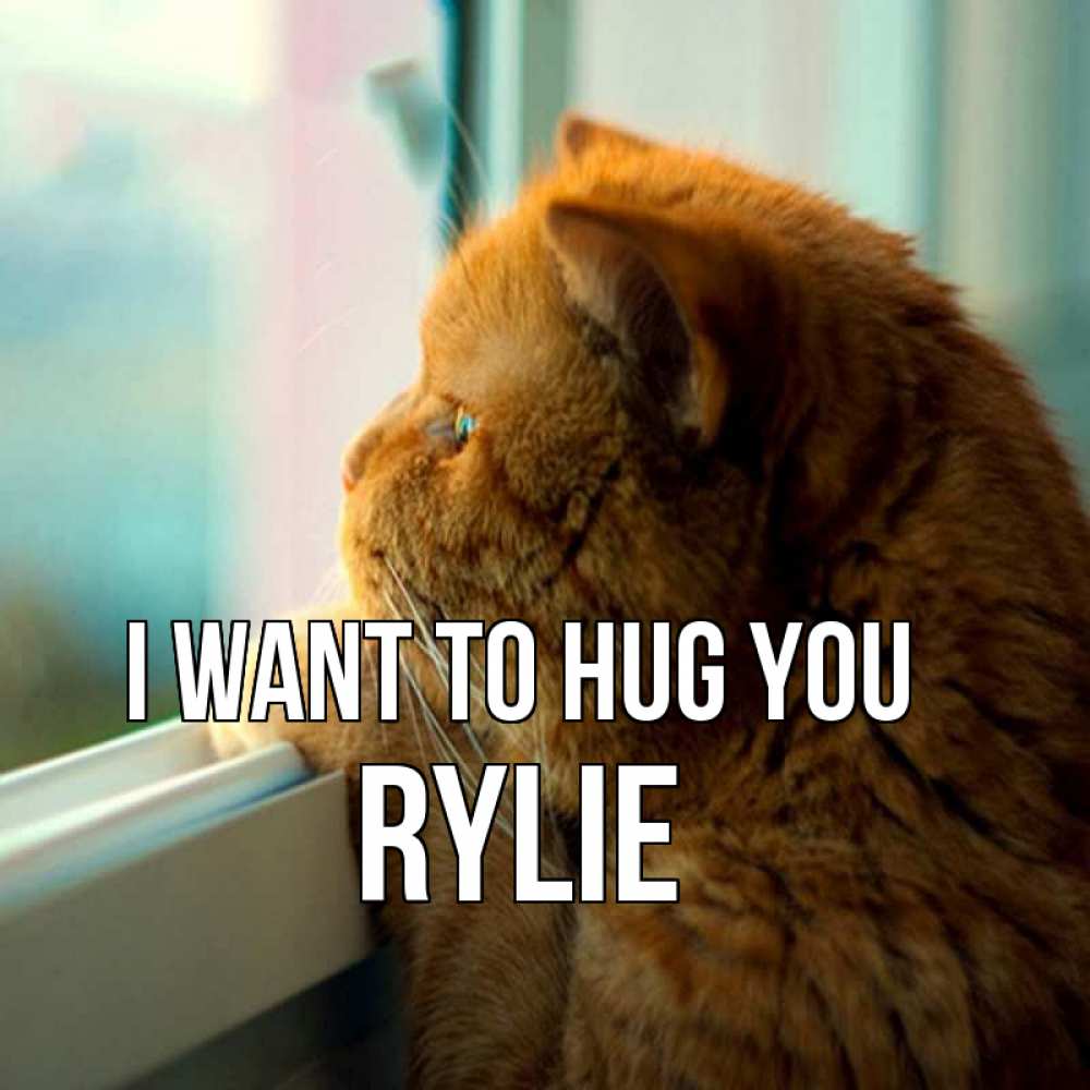 Greetings card с именем, Rylie I want to hug you большой огромный рыжий котяра Greetings with text for free download 