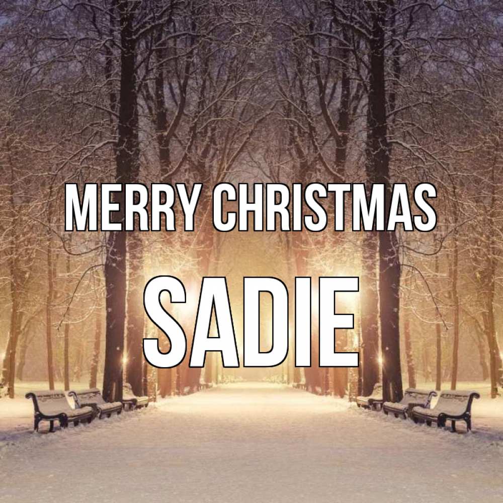 Greetings card с именем, Sadie Merry Christmas зима, парк, фонарь, лес Greetings with text for free download 