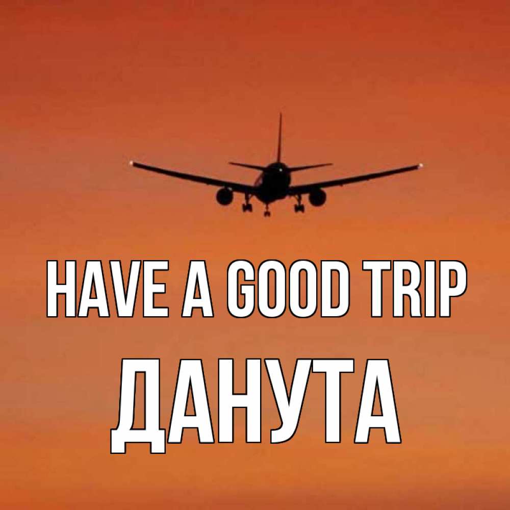 Greetings card с именем, Данута Have a good trip силуэт самолета Greetings with text for free download 