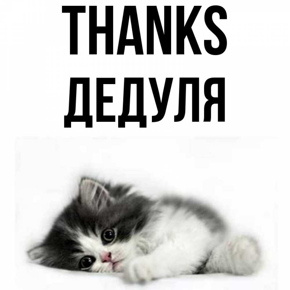 Greetings card с именем, Дедуля Thanks черный и белый кот Greetings with text for free download 