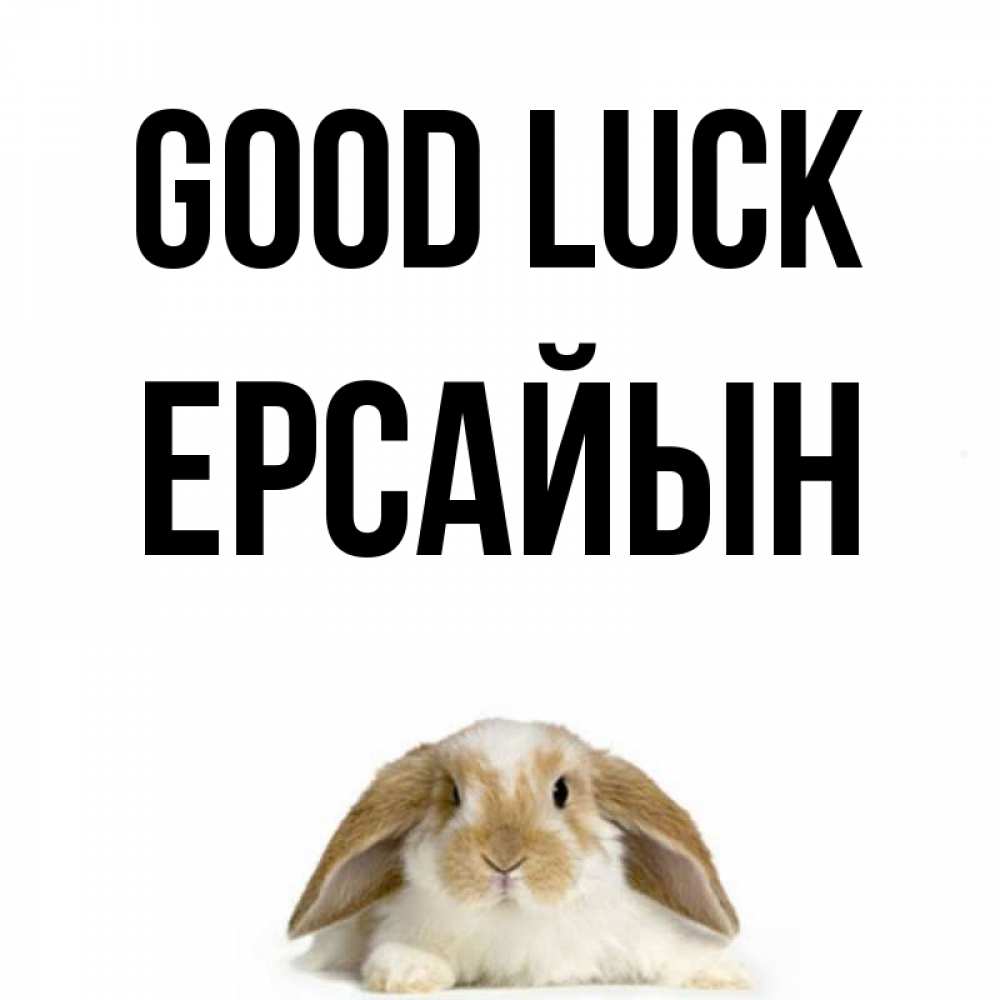 Greetings card с именем, Ерсайын Good luck открытки с произвольным текстом который можно вставить в открытку и создать ее самостоятельно бесплатно онлайн Greetings with text for free download 