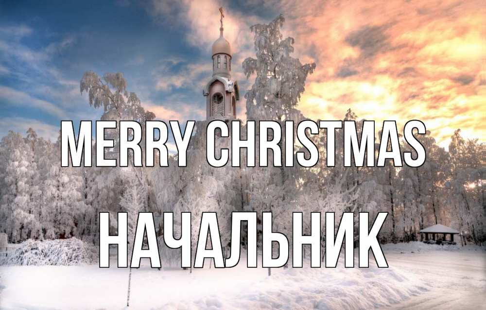 Greetings card с именем, Начальник Merry Christmas лес, зима 2 Greetings with text for free download 