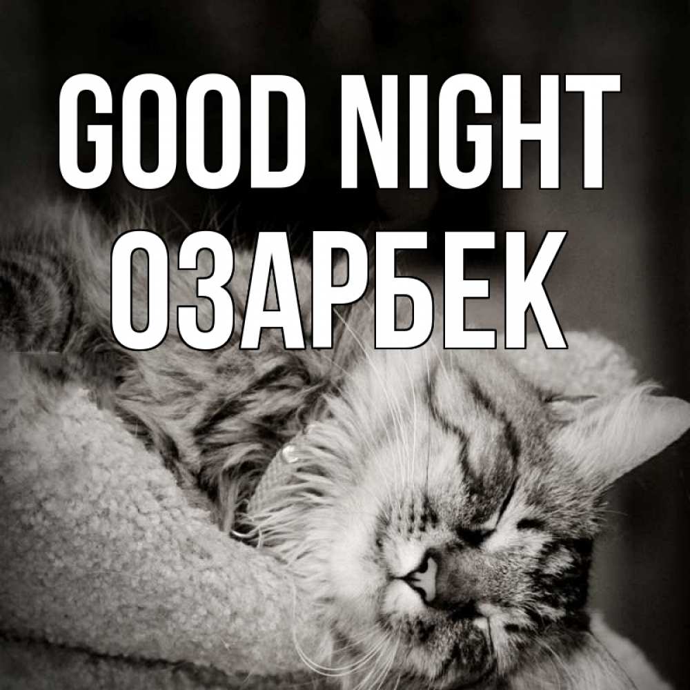 Greetings card с именем, ОЗАРБЕК Good night котярик пушистый Greetings with text for free download 