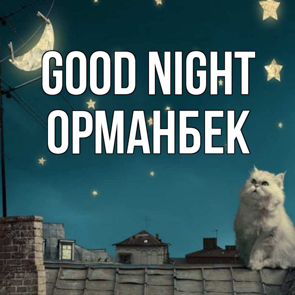 Greetings card с именем, ОРМАНБЕК Good night белый кот сидит на крыше Greetings with text for free download 