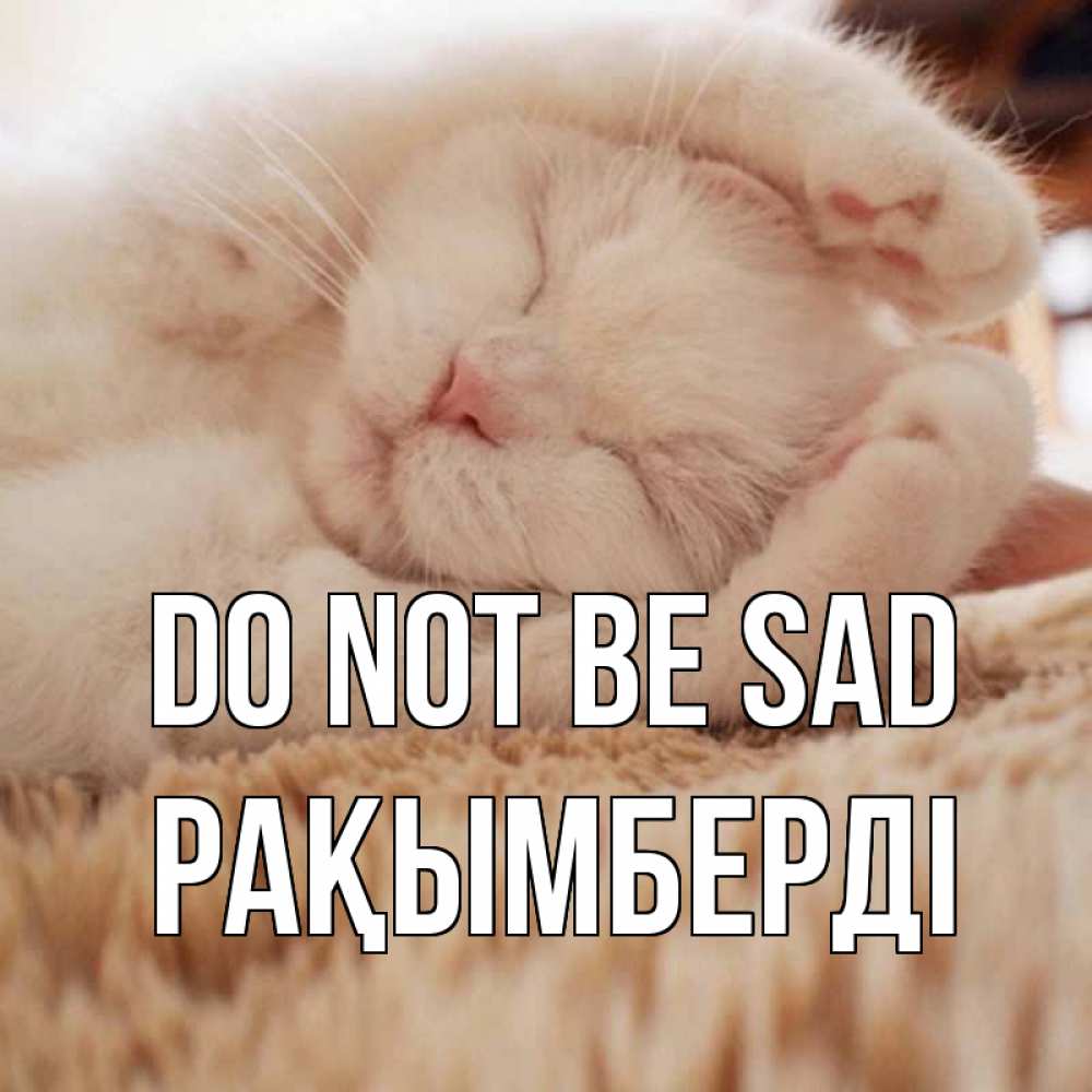 Greetings card с именем, Рақымберді Do not be sad белый кот Greetings with text for free download 