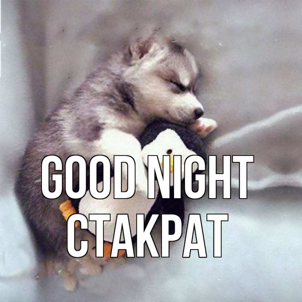 Greetings card с именем, Стакрат Good night обнимашки щенка и пингвина Greetings with text for free download 