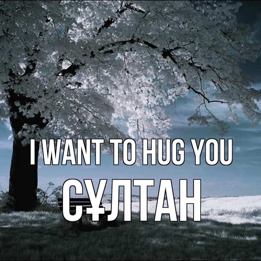 Greetings card с именем, СҰЛТАН I want to hug you дерево Greetings with text for free download 