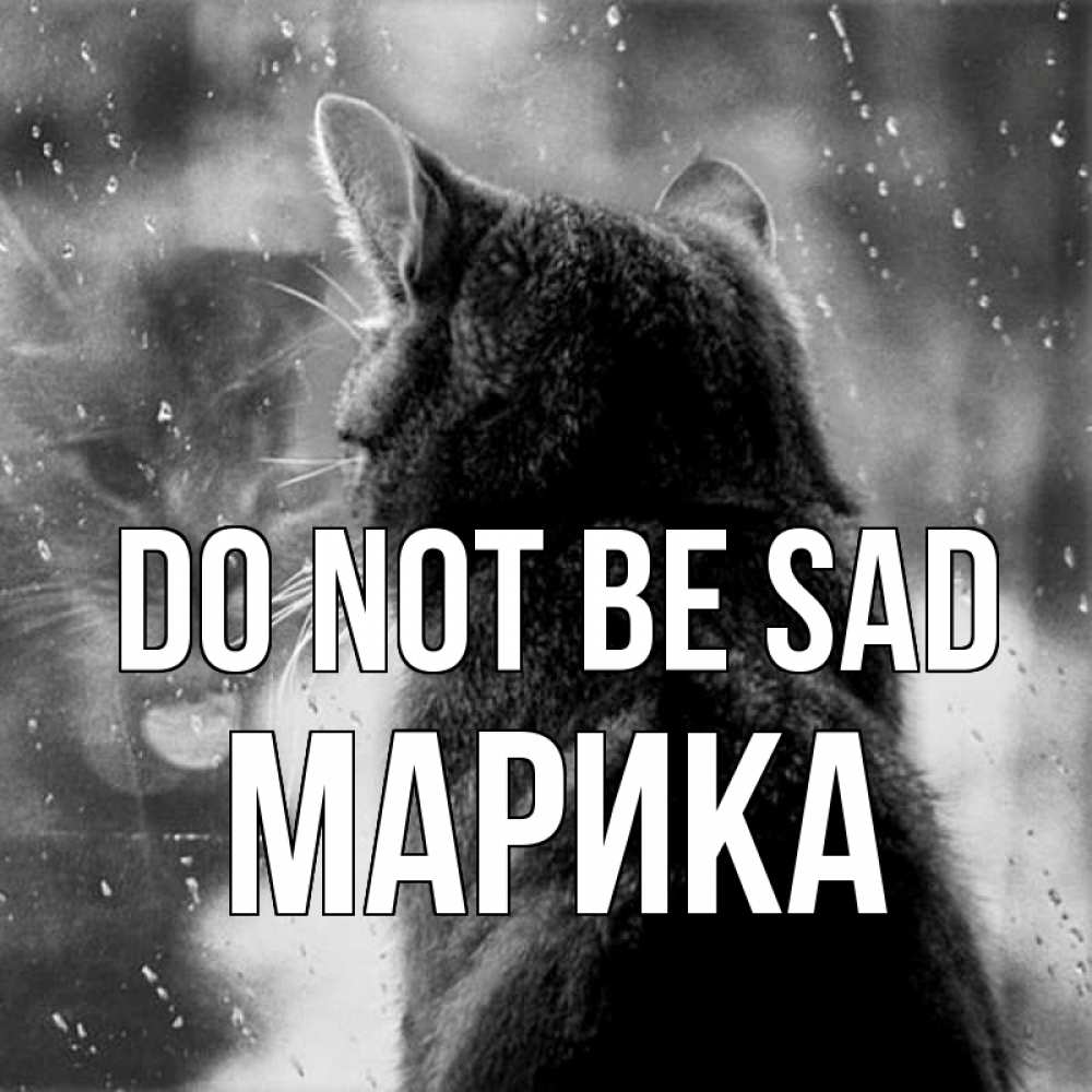 Greetings card с именем, Марика Do not be sad отражение кота 1 Greetings with text for free download 
