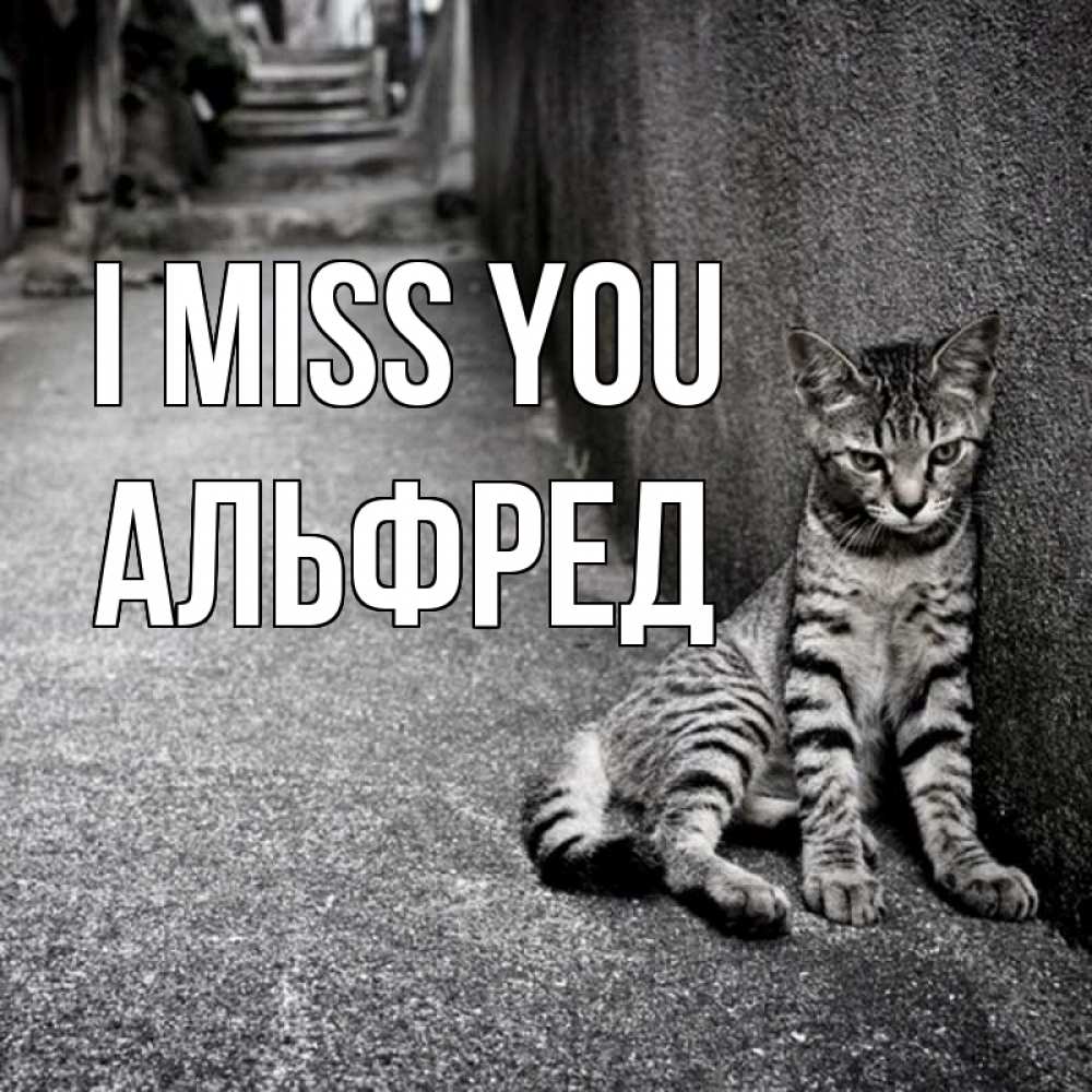 Greetings card с именем, Альфред I miss you одиноко котику Greetings with text for free download 