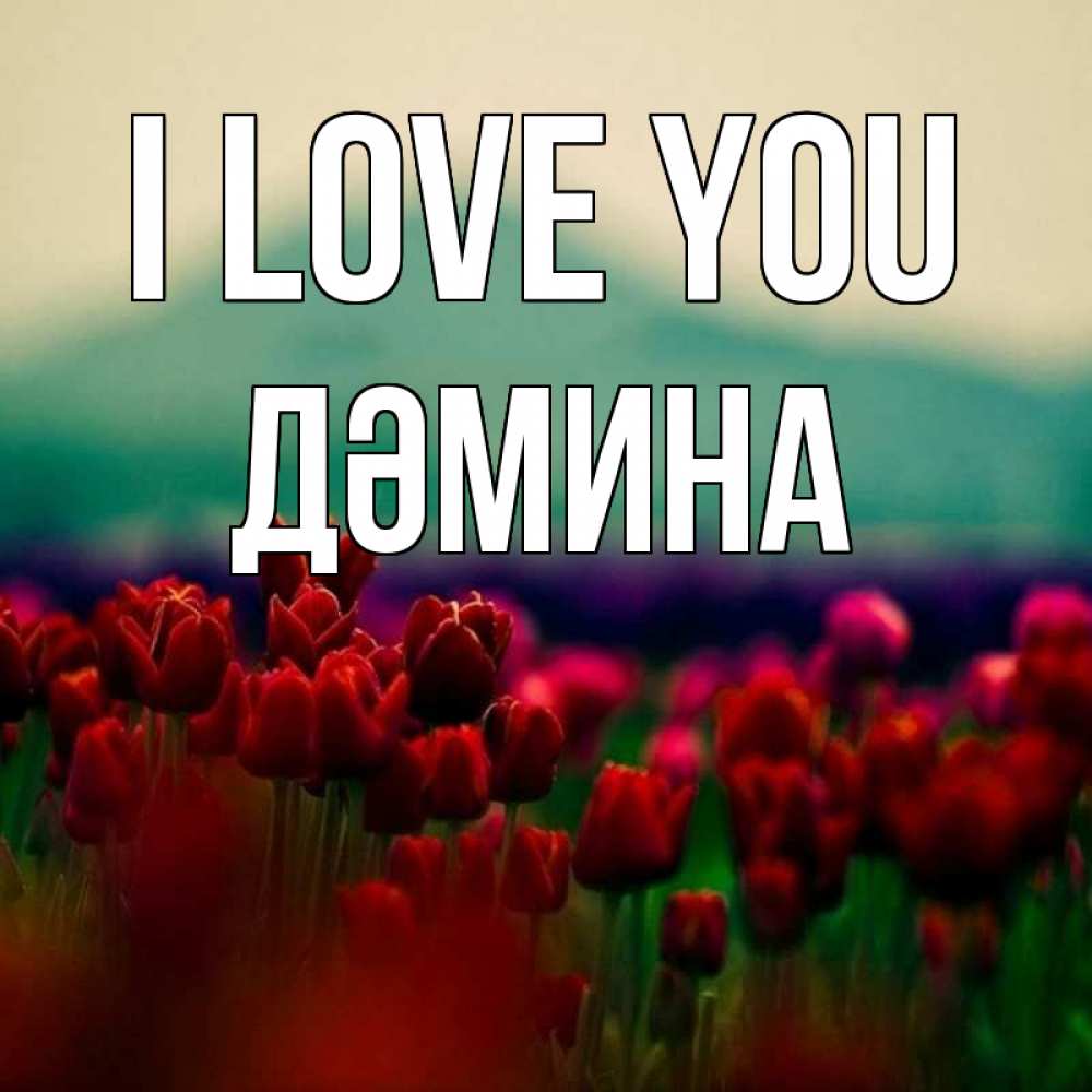 Greetings card с именем, ДӘМИНА I love you тюльпаны 4 Greetings with text for free download 