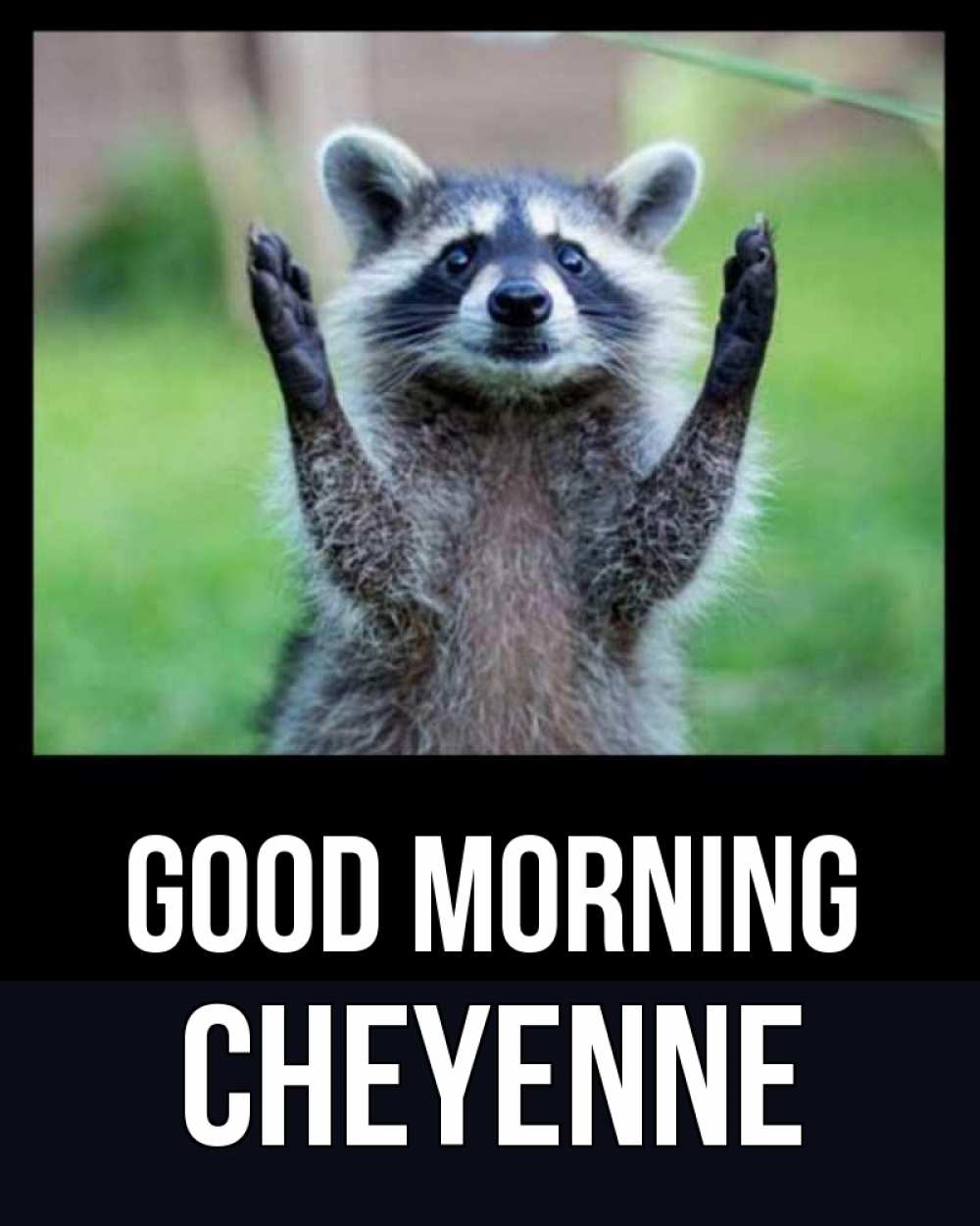 Greetings card с именем, Cheyenne Good morning хорошее настроение утречком Greetings with text for free download 