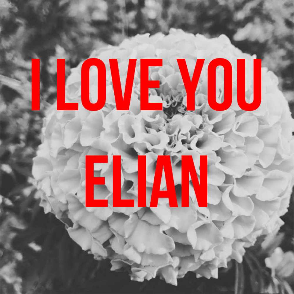 Greetings card с именем, Elian I love you подпись Greetings with text for free download 