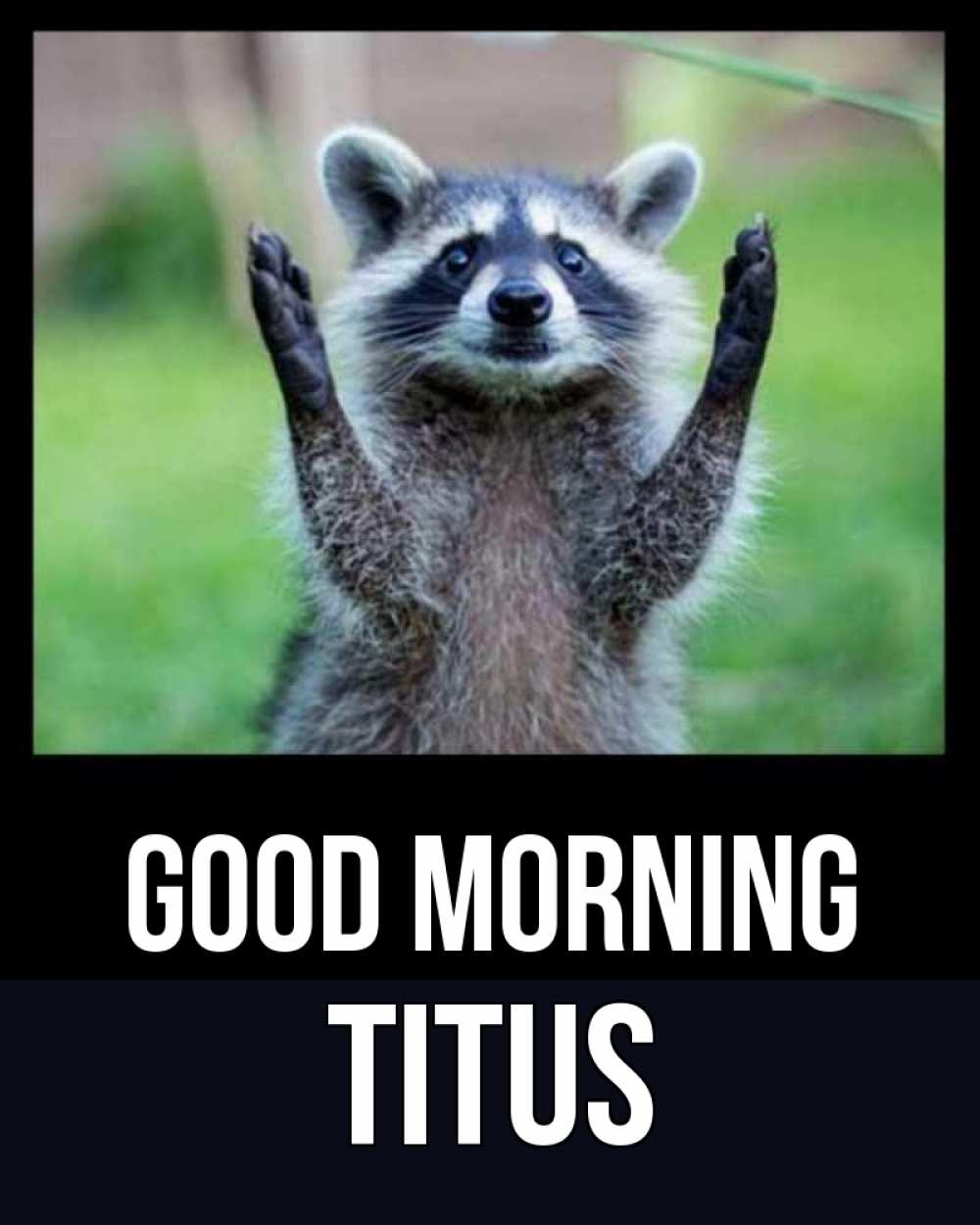 Greetings card с именем, Titus Good morning хорошее настроение утречком Greetings with text for free download 
