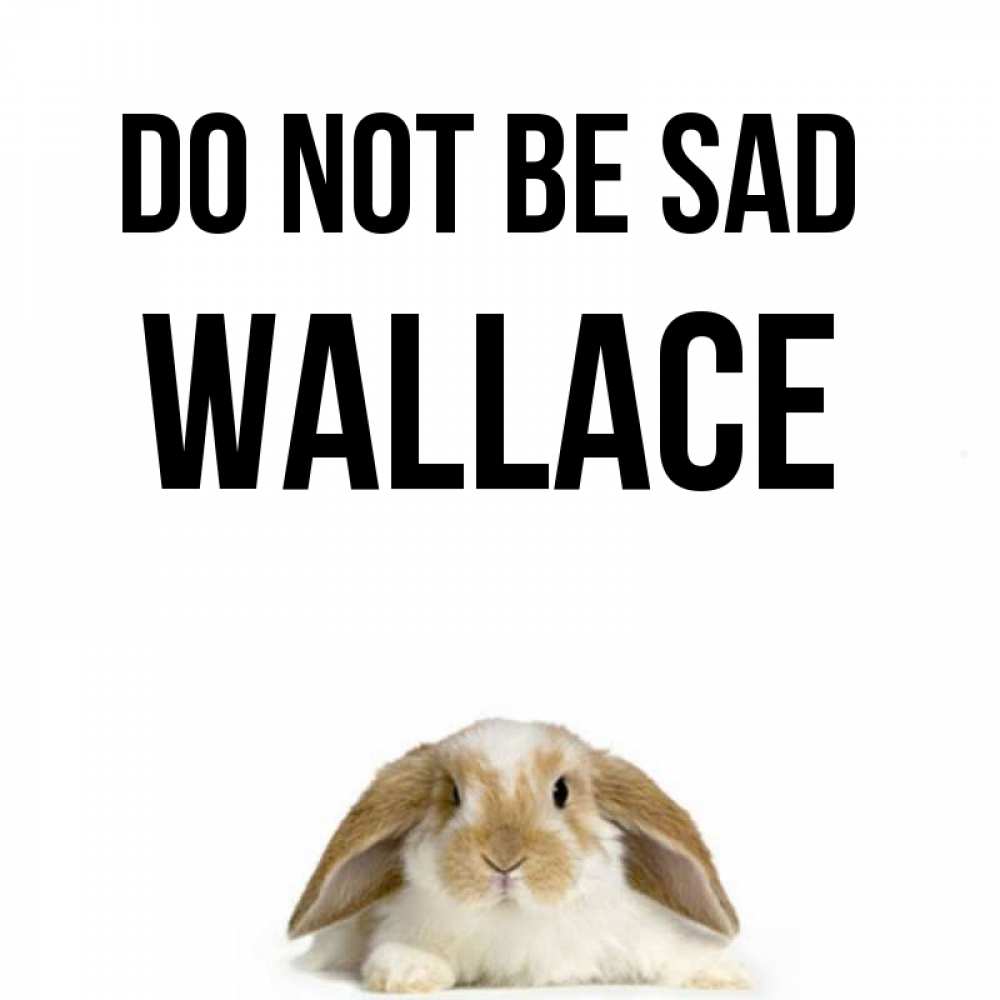 Greetings card с именем, Wallace Do not be sad коричнево белый заяц с большими ушками Greetings with text for free download 