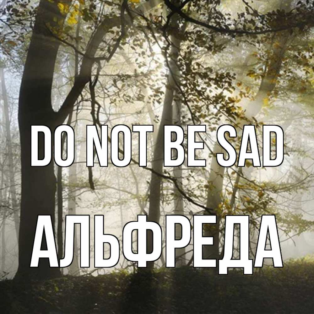 Greetings card с именем, Альфреда Do not be sad лес и свет Greetings with text for free download 