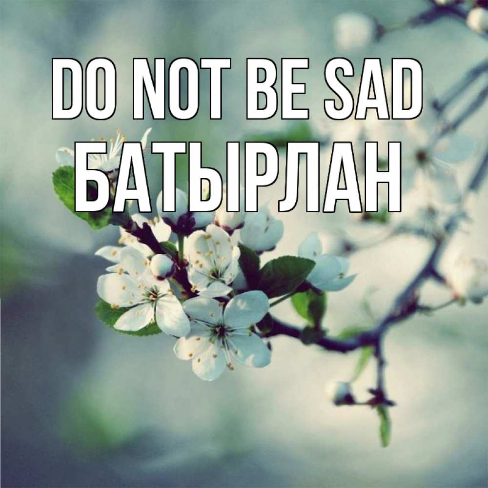 Greetings card с именем, Батырлан Do not be sad яблоня в цвету 1 Greetings with text for free download 