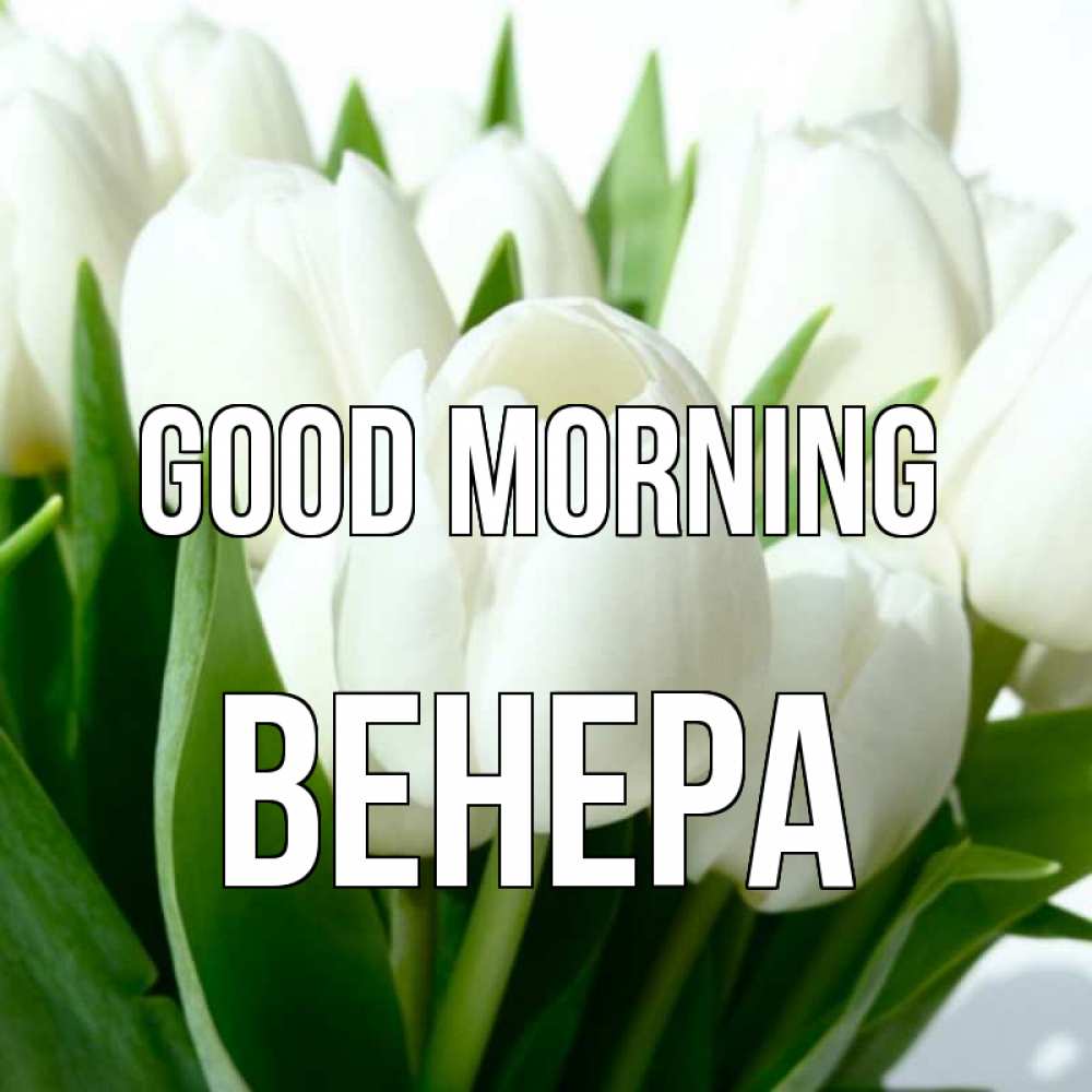 Greetings card с именем, Венера Good morning открытки на каждый день по именам Greetings with text for free download 