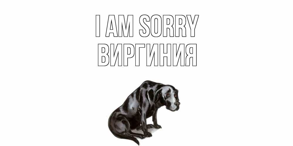 Greetings card с именем, Виргиния I am sorry грустная собака на открытке с подписью прости меня Greetings with text for free download 
