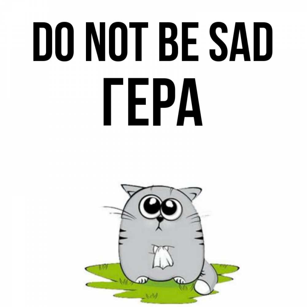 Greetings card с именем, Гера Do not be sad грустный котяра Greetings with text for free download 