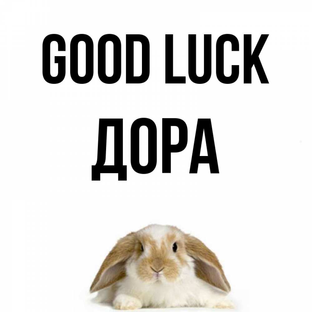 Greetings card с именем, Дора Good luck открытки с произвольным текстом который можно вставить в открытку и создать ее самостоятельно бесплатно онлайн Greetings with text for free download 