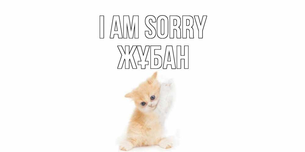 Greetings card с именем, Жұбан I am sorry кот Greetings with text for free download 