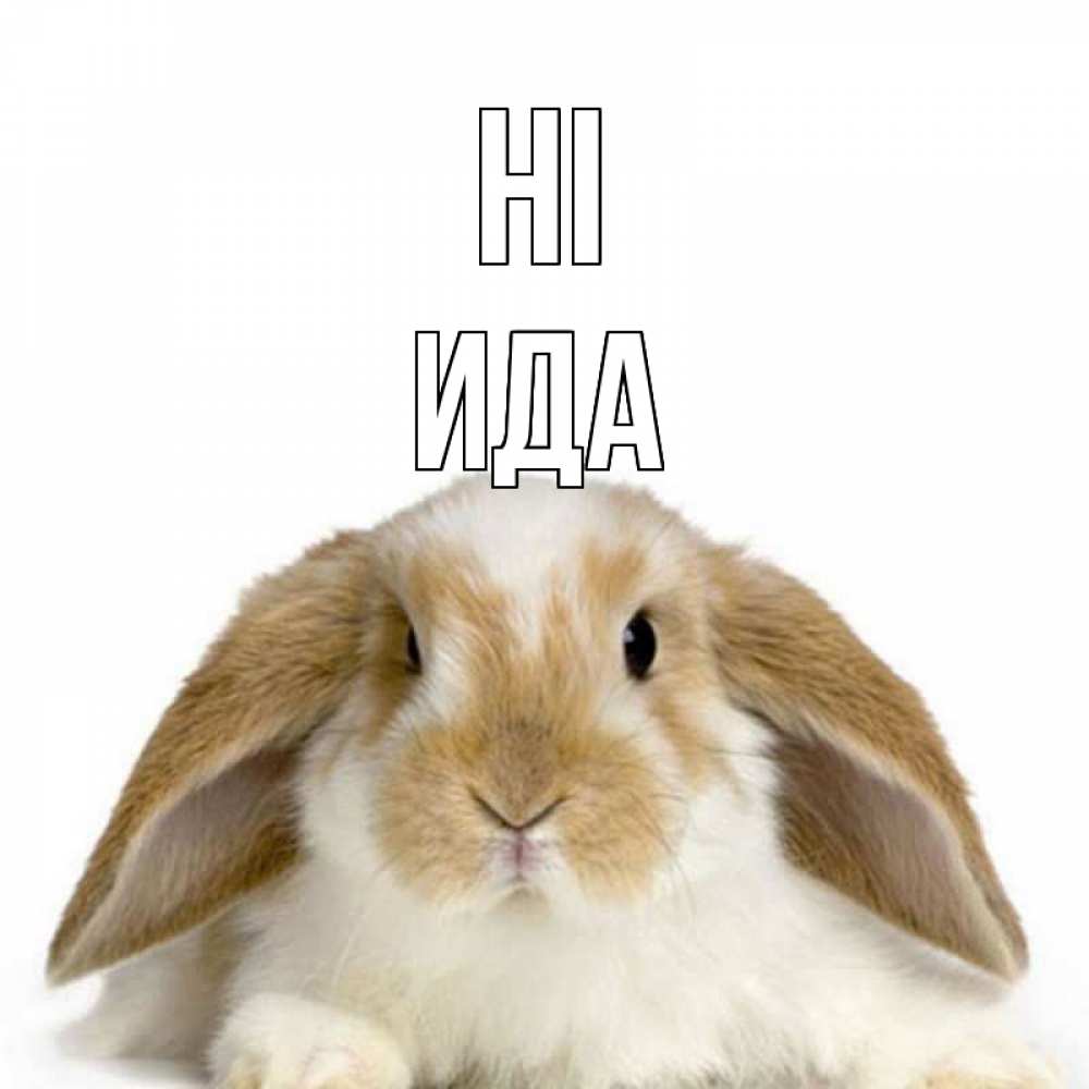 Greetings card с именем, Ида Hi с животными Greetings with text for free download 