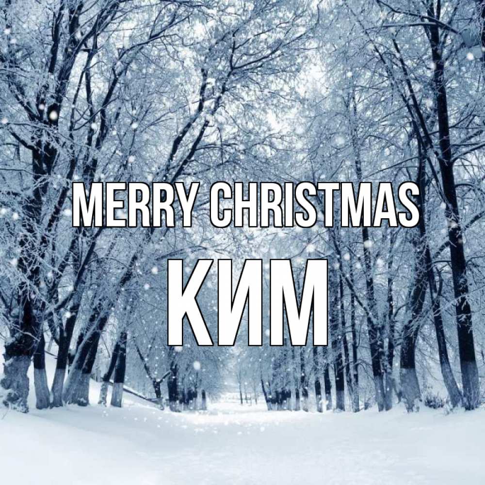 Greetings card с именем, Ким Merry Christmas снег, лес, парк Greetings with text for free download 