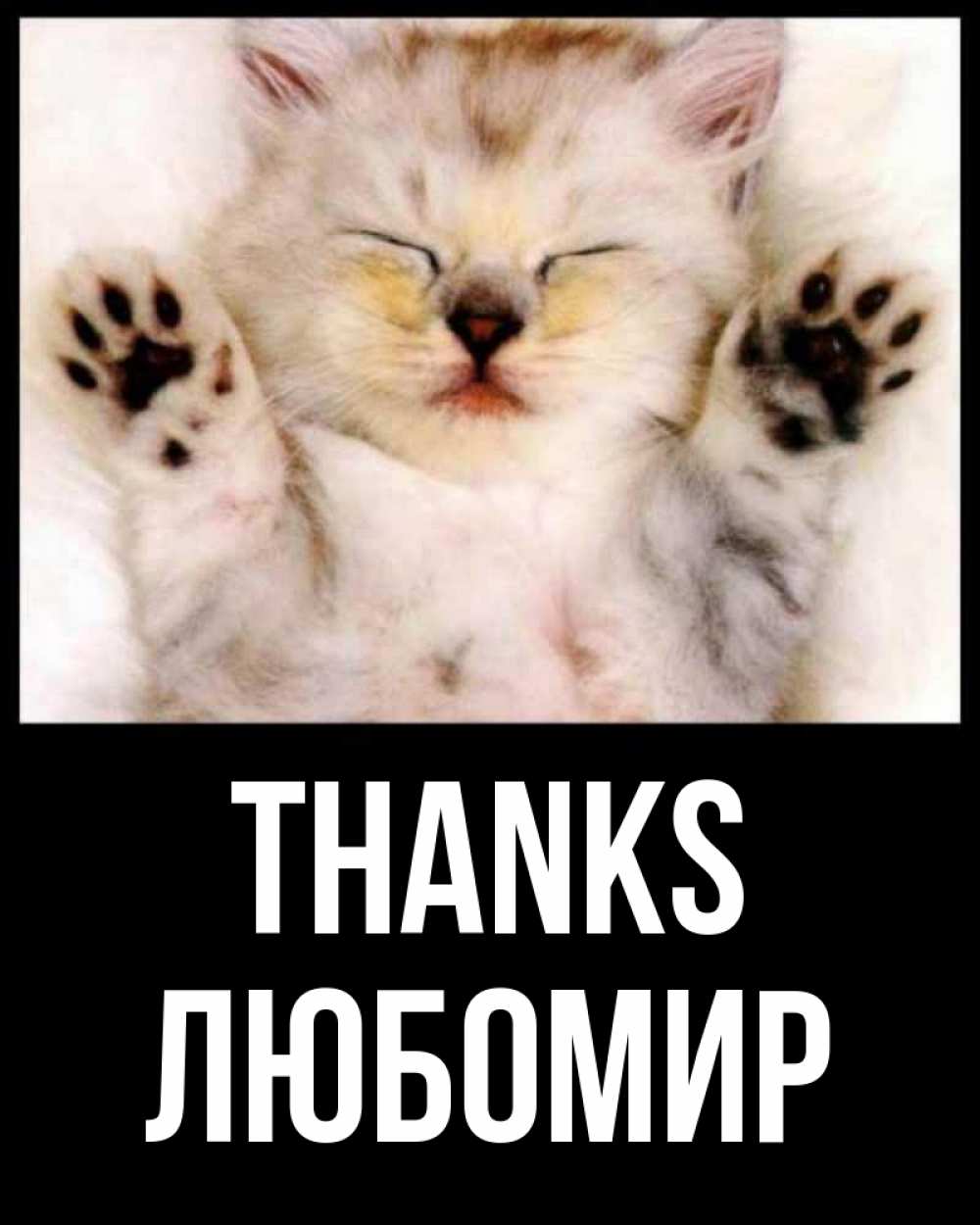 Greetings card с именем, Любомир Thanks маленький котенок Greetings with text for free download 