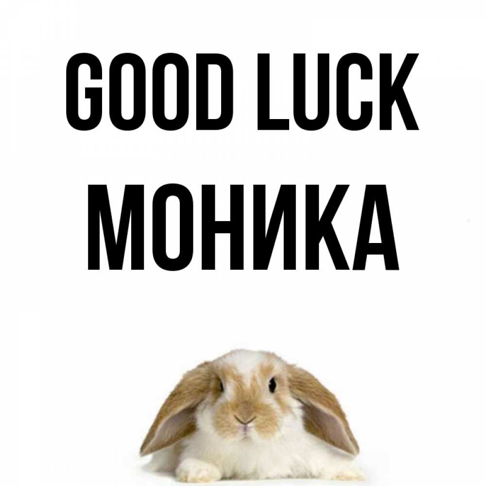 Greetings card с именем, Моника Good luck открытки с произвольным текстом который можно вставить в открытку и создать ее самостоятельно бесплатно онлайн Greetings with text for free download 