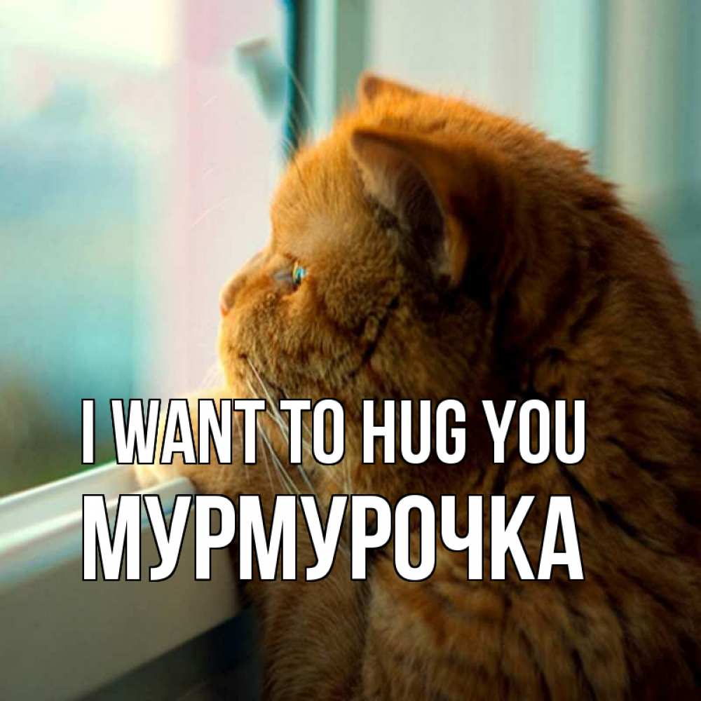 Greetings card с именем, Мурмурочка I want to hug you большой огромный рыжий котяра Greetings with text for free download 