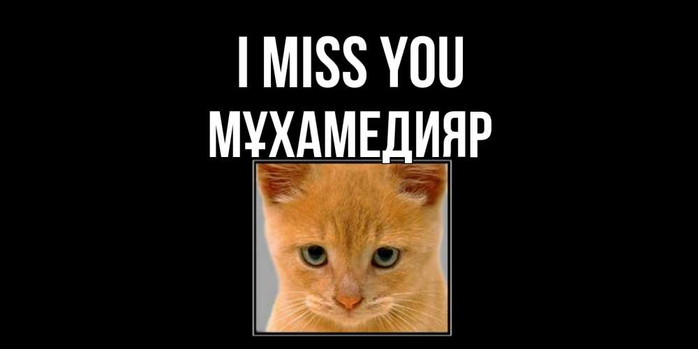 Greetings card с именем, МҰХАМЕДИЯР I miss you открытки рыжий котенок скучает по тебе Greetings with text for free download 