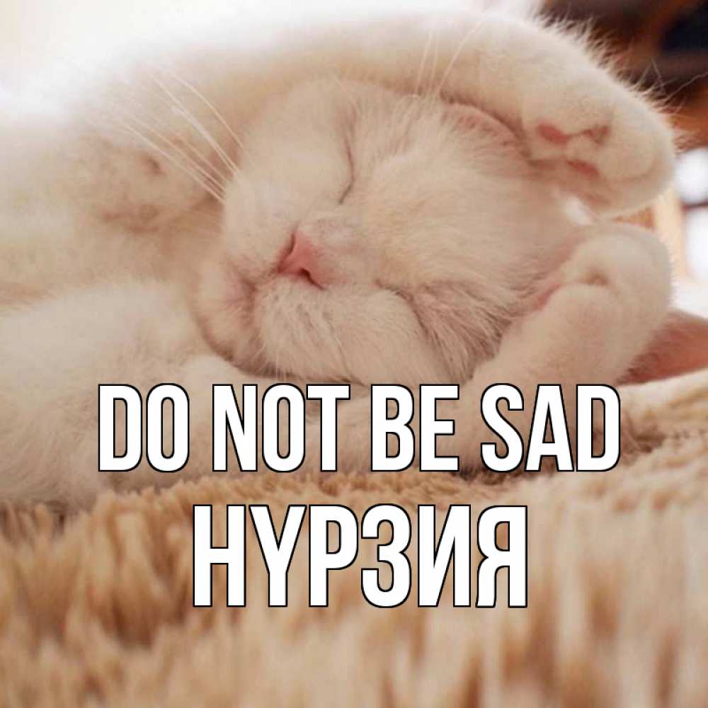 Greetings card с именем, НҮРЗИЯ Do not be sad белый кот Greetings with text for free download 