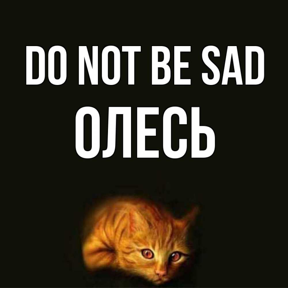 Greetings card с именем, Олесь Do not be sad лежащий кот в темноте Greetings with text for free download 