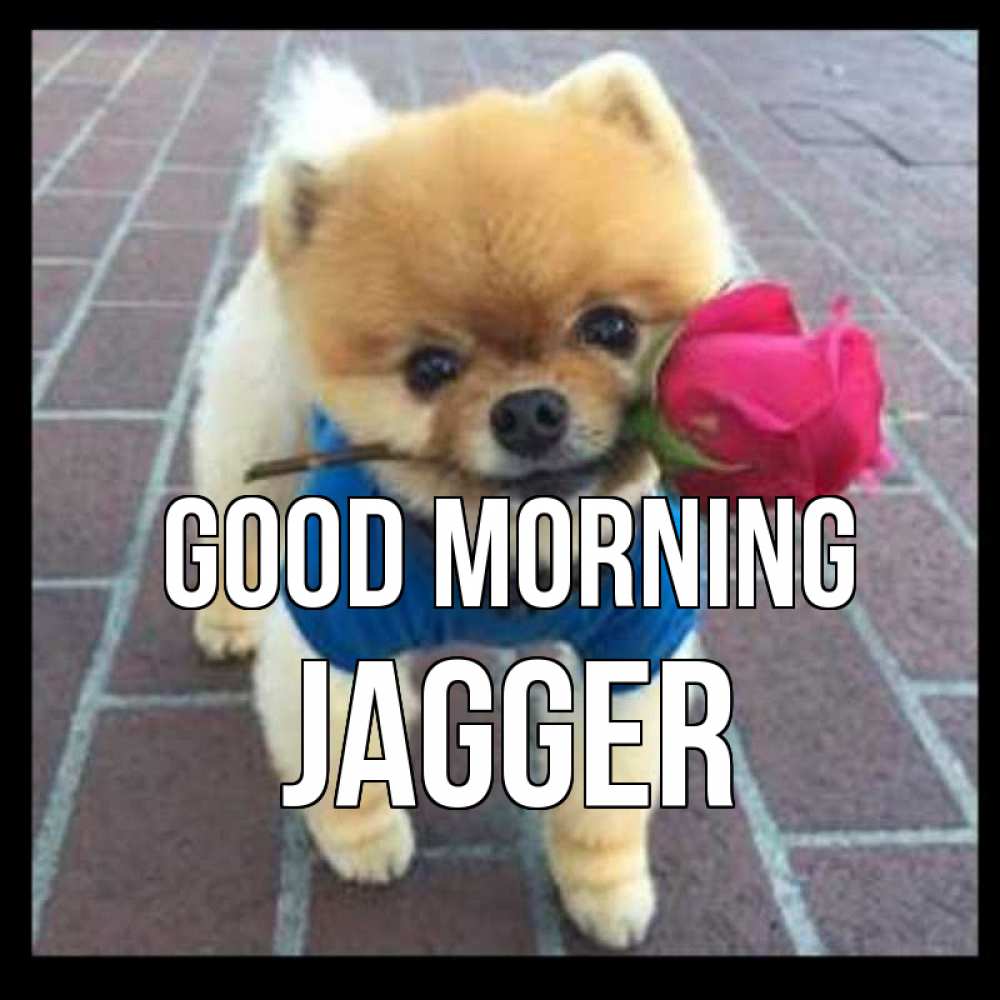 Greetings card с именем, Jagger Good morning роза в зубах Greetings with text for free download 