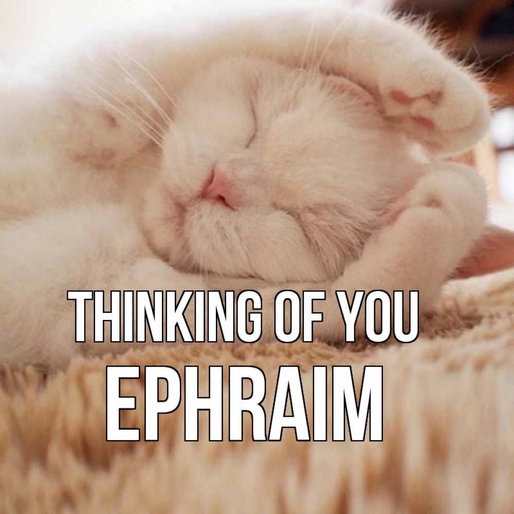 Greetings card с именем, Ephraim Thinking of you для любимой девушки милота Greetings with text for free download 