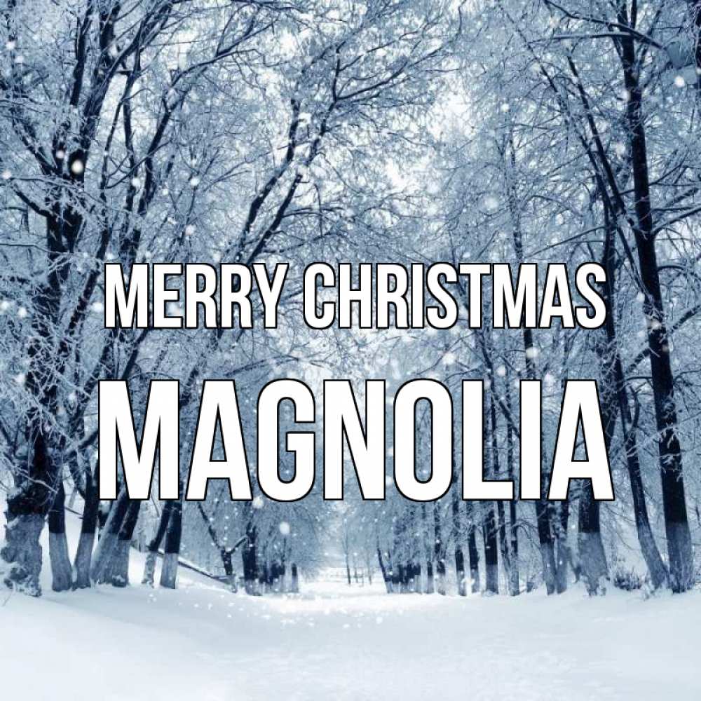 Greetings card с именем, Magnolia Merry Christmas снег, лес, парк Greetings with text for free download 