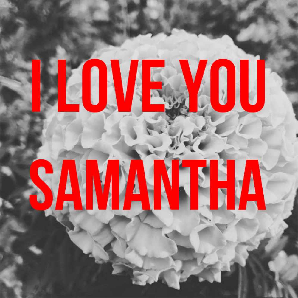Greetings card с именем, Samantha I love you подпись Greetings with text for free download 