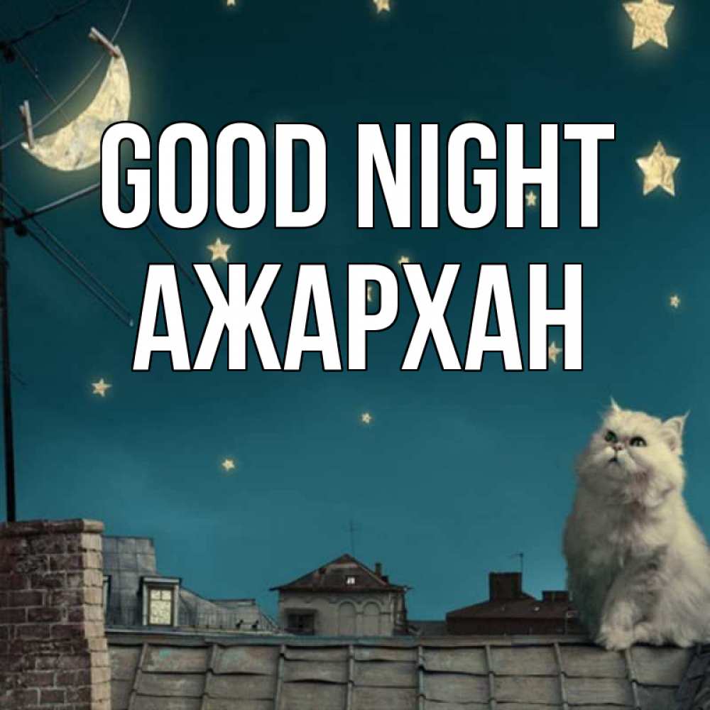 Greetings card с именем, АЖАРХАН Good night белый кот сидит на крыше Greetings with text for free download 
