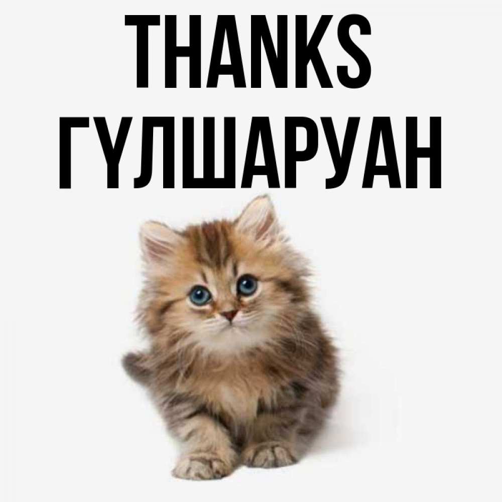 Greetings card с именем, ГҮЛШАРУАН Thanks пушистый котик Greetings with text for free download 