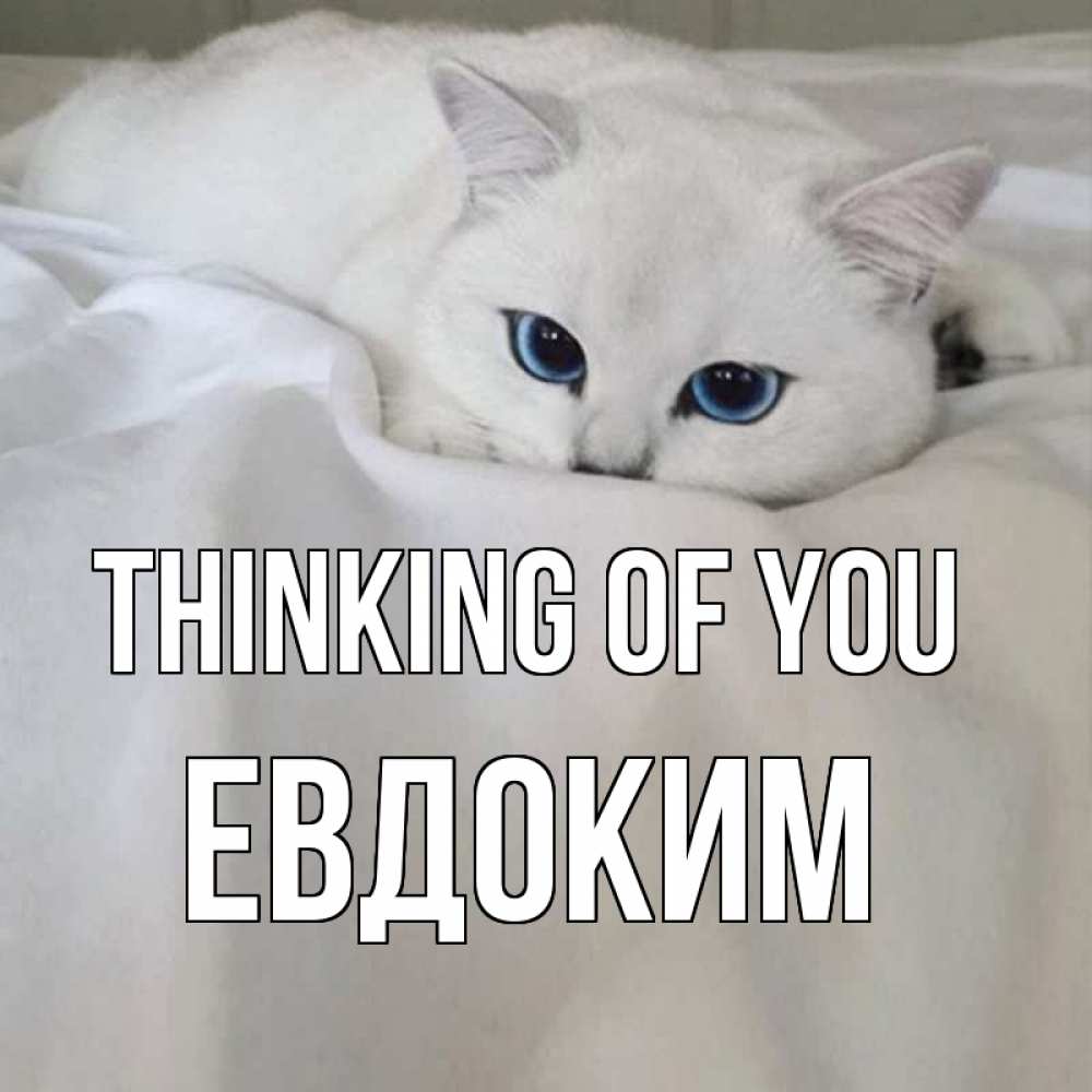 Greetings card с именем, Евдоким Thinking of you я очень по тебе скучаю и тоскую Greetings with text for free download 