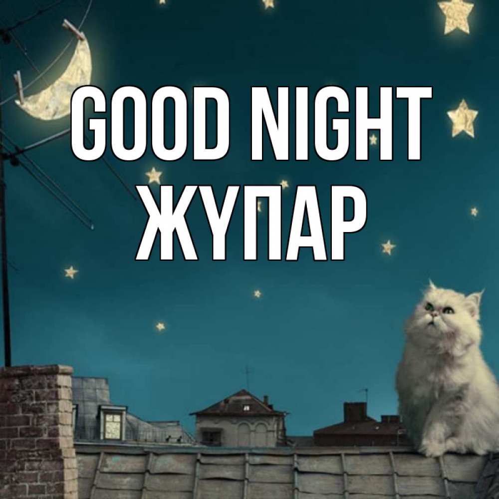 Greetings card с именем, ЖҮПАР Good night белый кот сидит на крыше Greetings with text for free download 