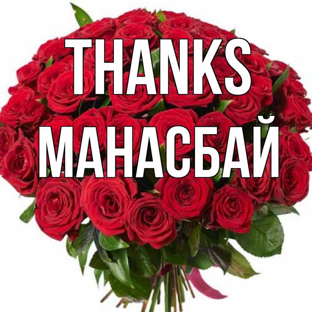 Greetings card с именем, МАНАСБАЙ Thanks букет красных роз Greetings with text for free download 