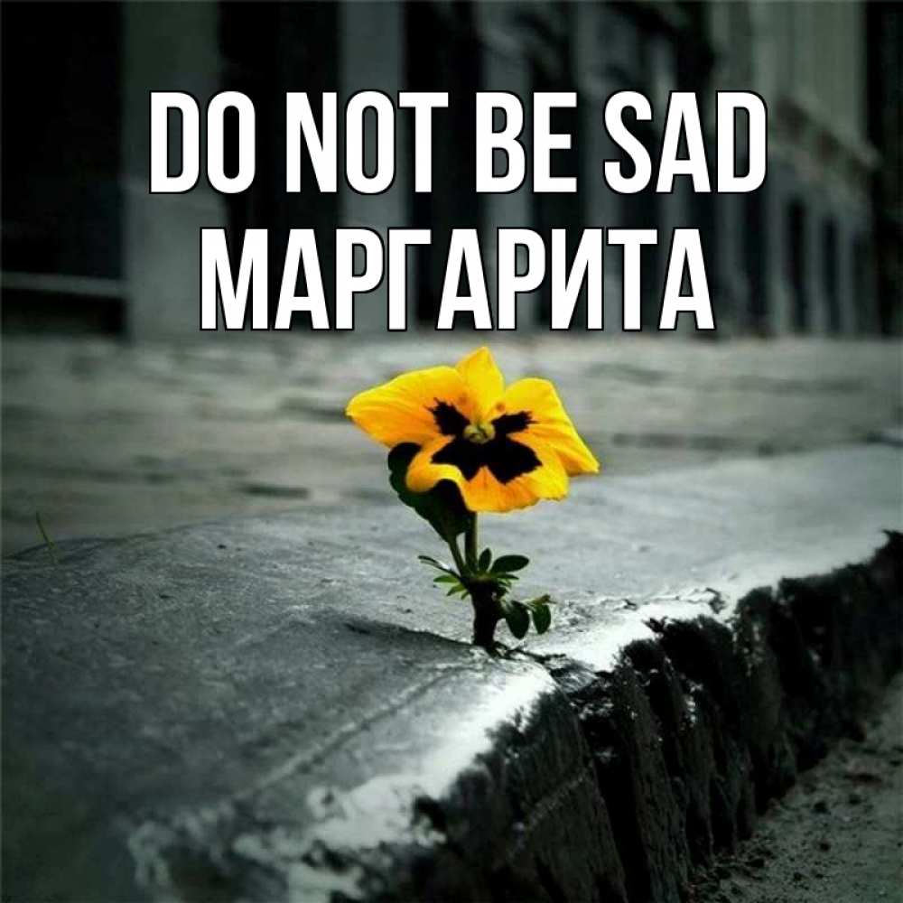 Greetings card с именем, Маргарита Do not be sad не сдавайся Greetings with text for free download 