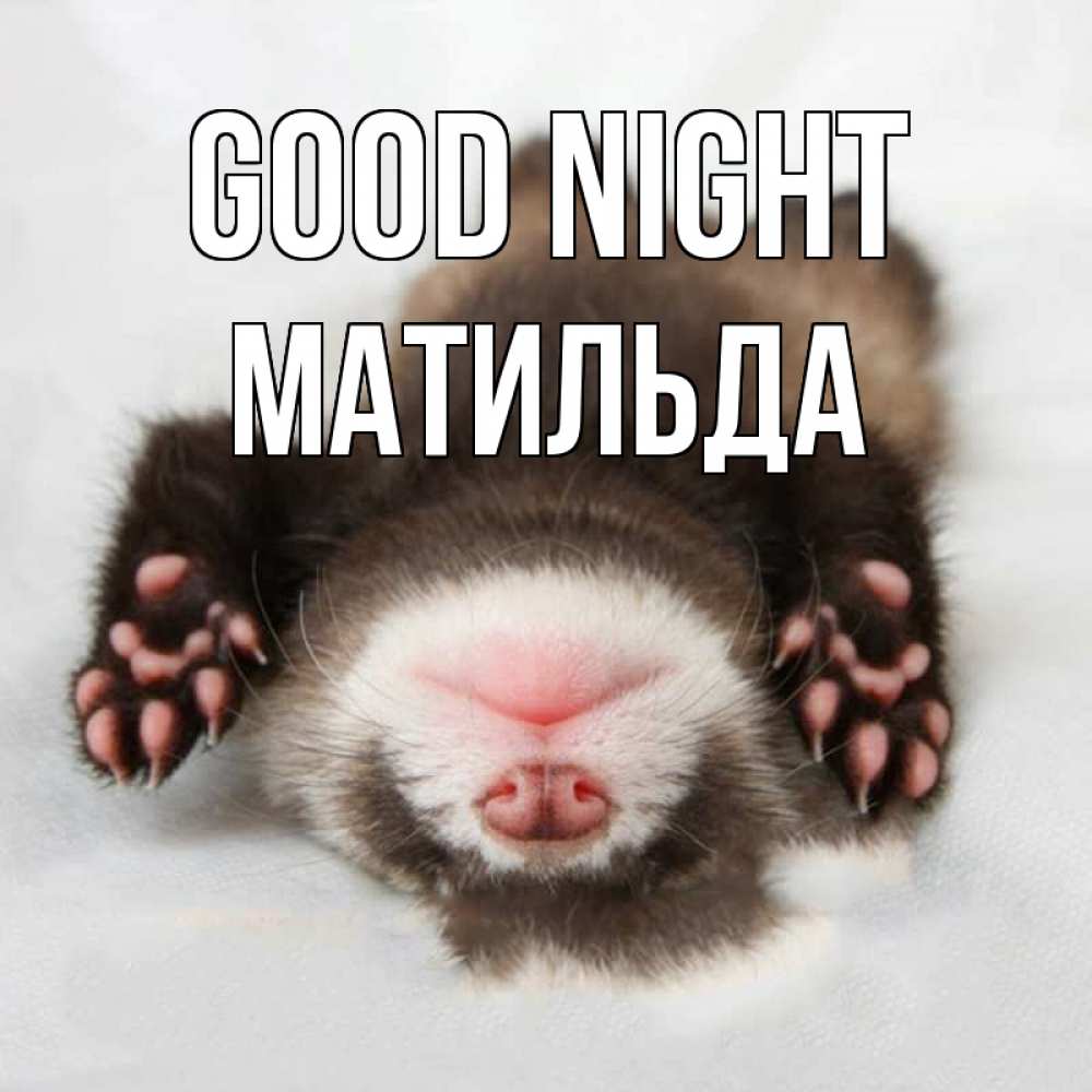 Greetings card с именем, Матильда Good night зверек Greetings with text for free download 