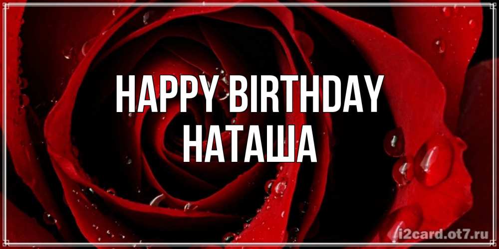 Greetings card с именем, Наташа Happy Birthday крупная бордовая роза Greetings with text for free download 