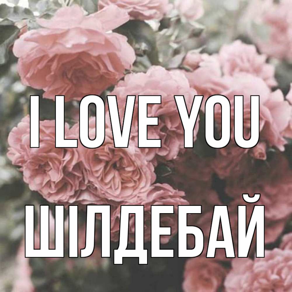 Greetings card с именем, ШІЛДЕБАЙ I love you розы 3 Greetings with text for free download 