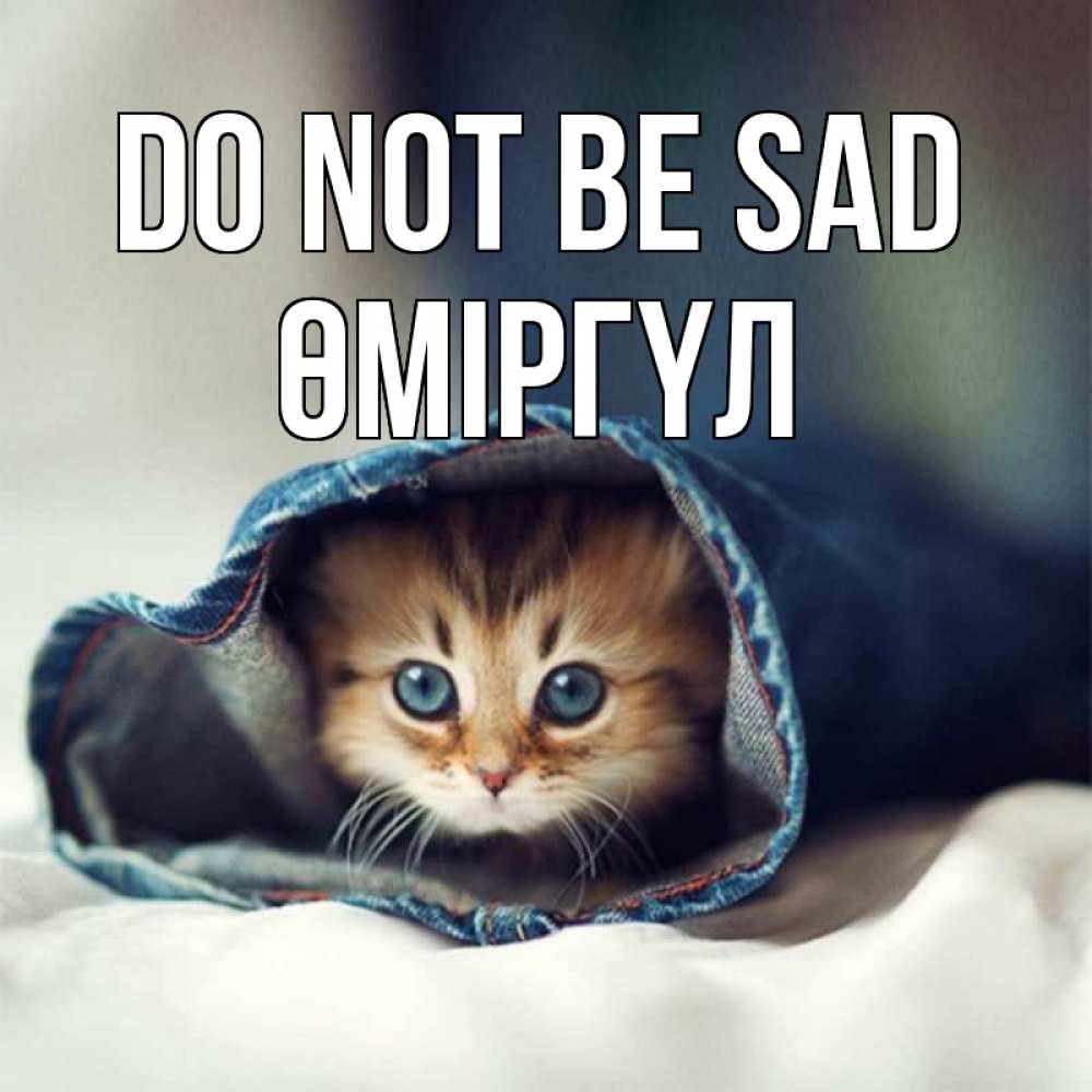 Greetings card с именем, ӨМІРГҮЛ Do not be sad кот в одежде Greetings with text for free download 