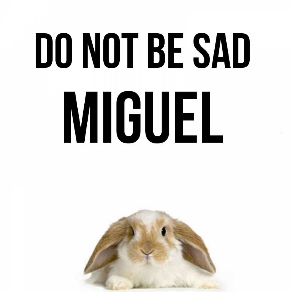 Greetings card с именем, Miguel Do not be sad коричнево белый заяц с большими ушками Greetings with text for free download 
